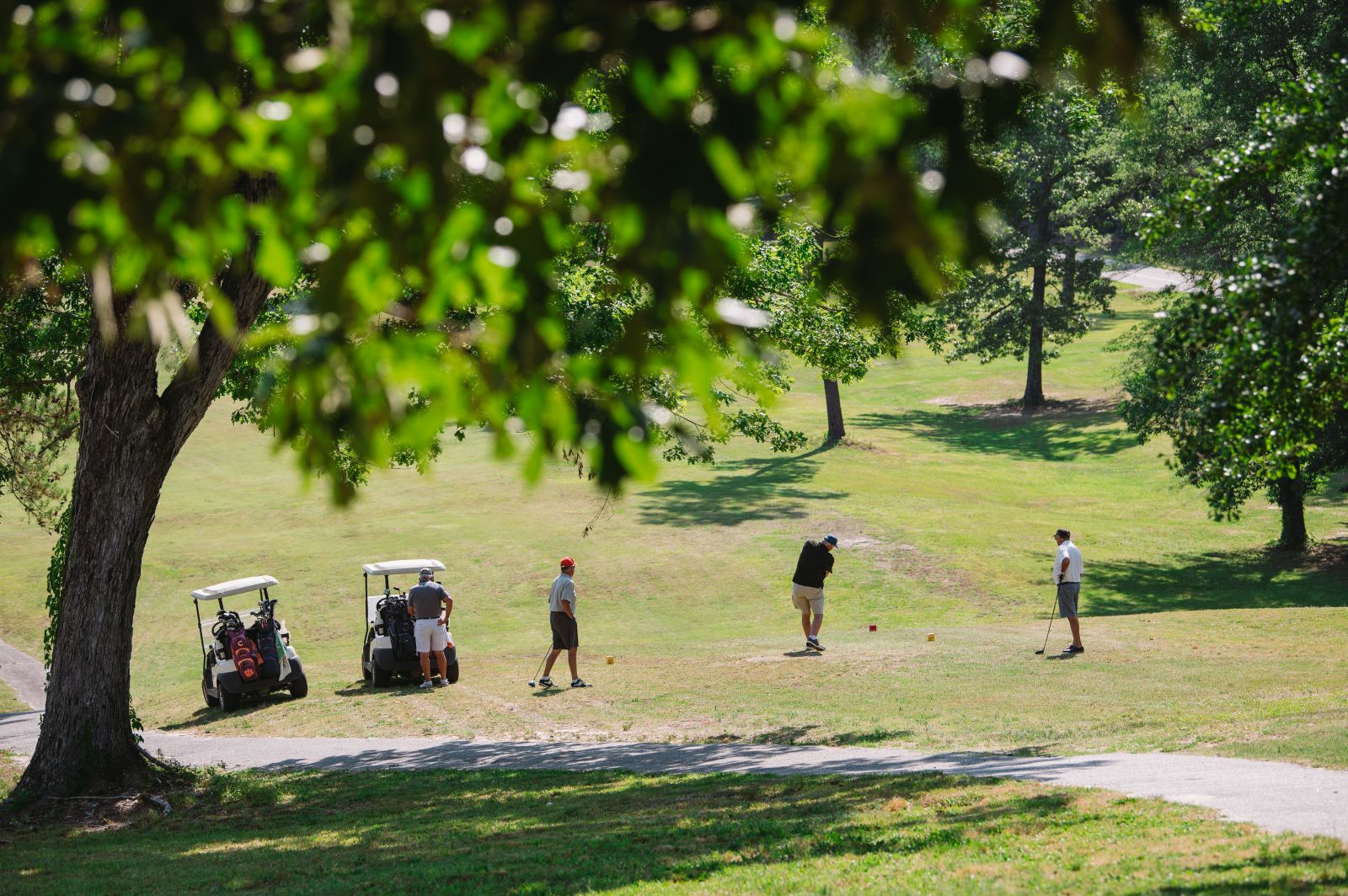 View of golfers through the trees 
