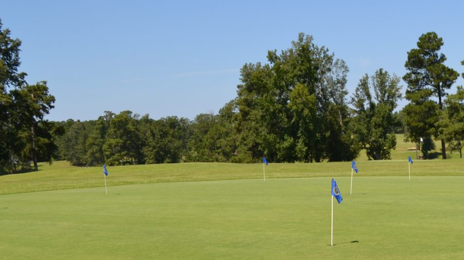 Course greens, trees in background and blue flag in foreground