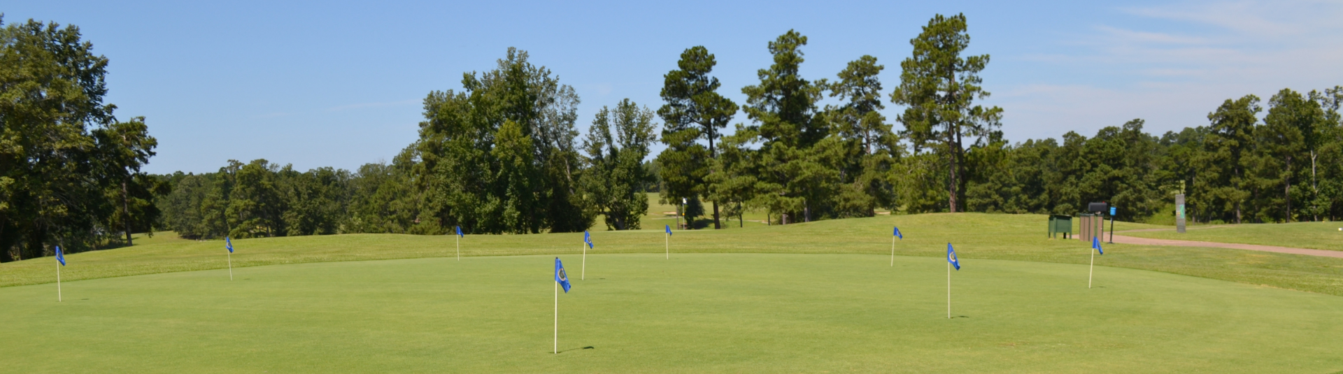 Course greens, trees in background and blue flag in foreground 